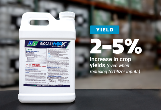 BWF Biocast MAX Product Images 03