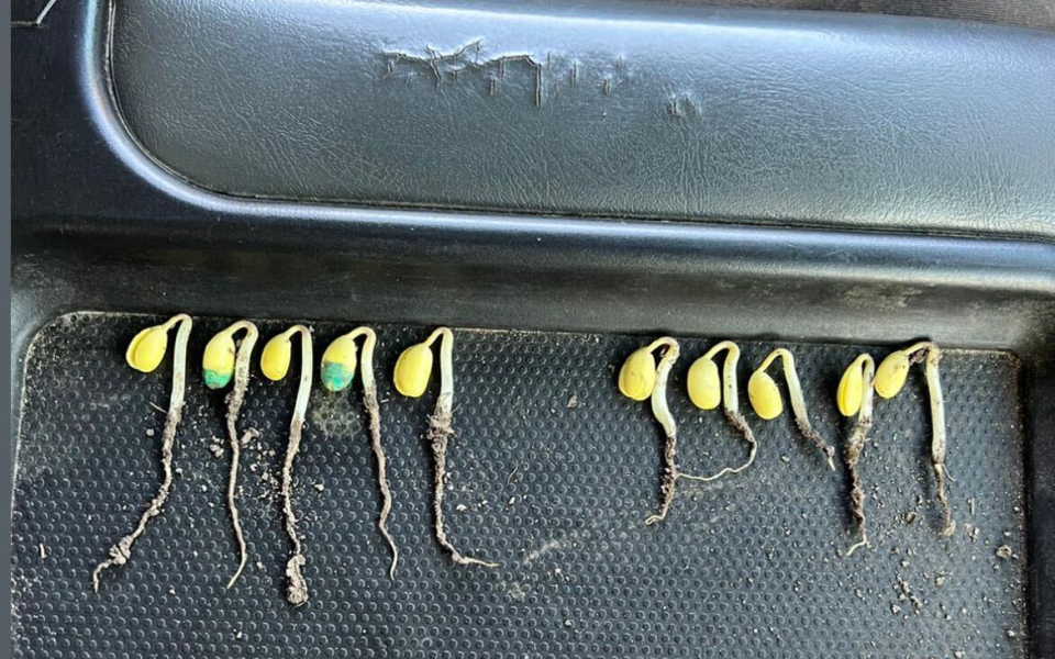 15158117 884 B 457 C 8 FE0 89 CF3 D71 DA6 B