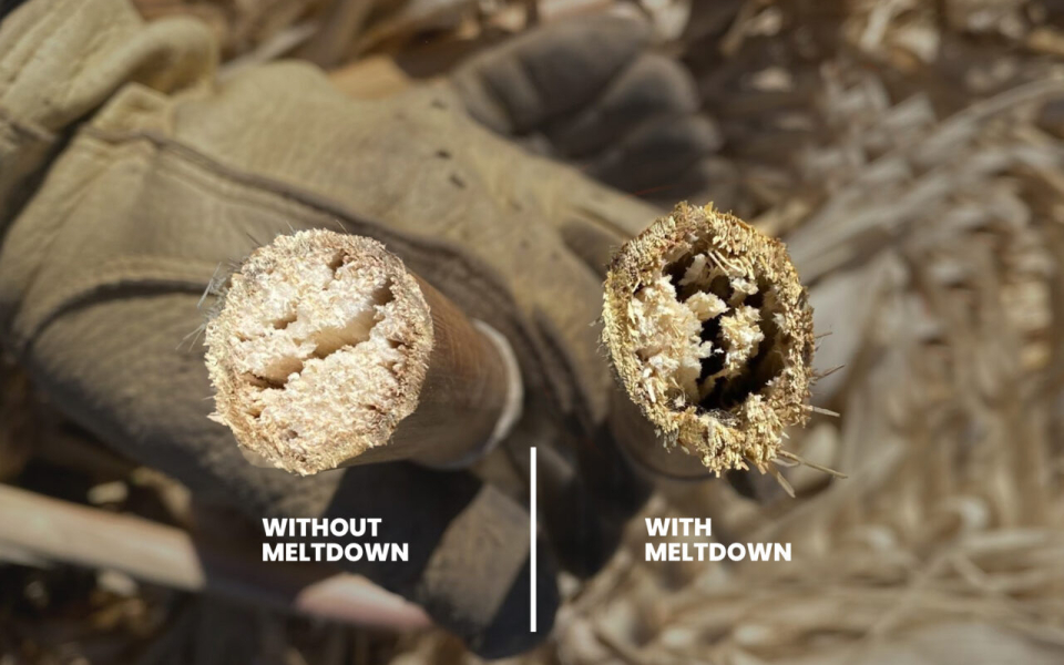 Meltdown Applied in Texas 2021