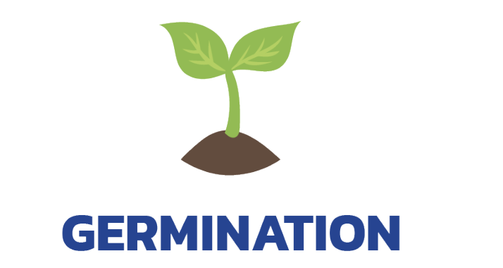 Germination