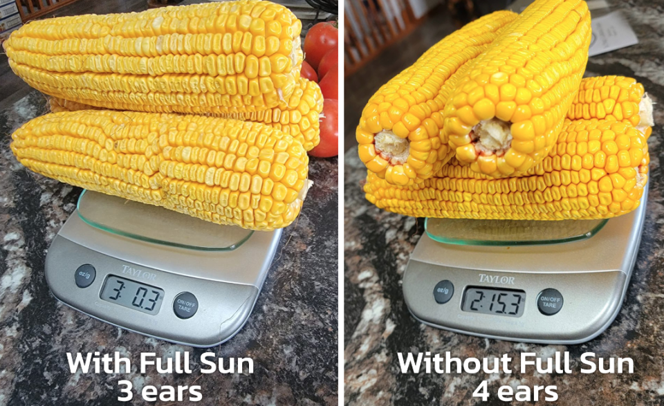 Screenshot 2023 04 16 at 4 19 50 PM