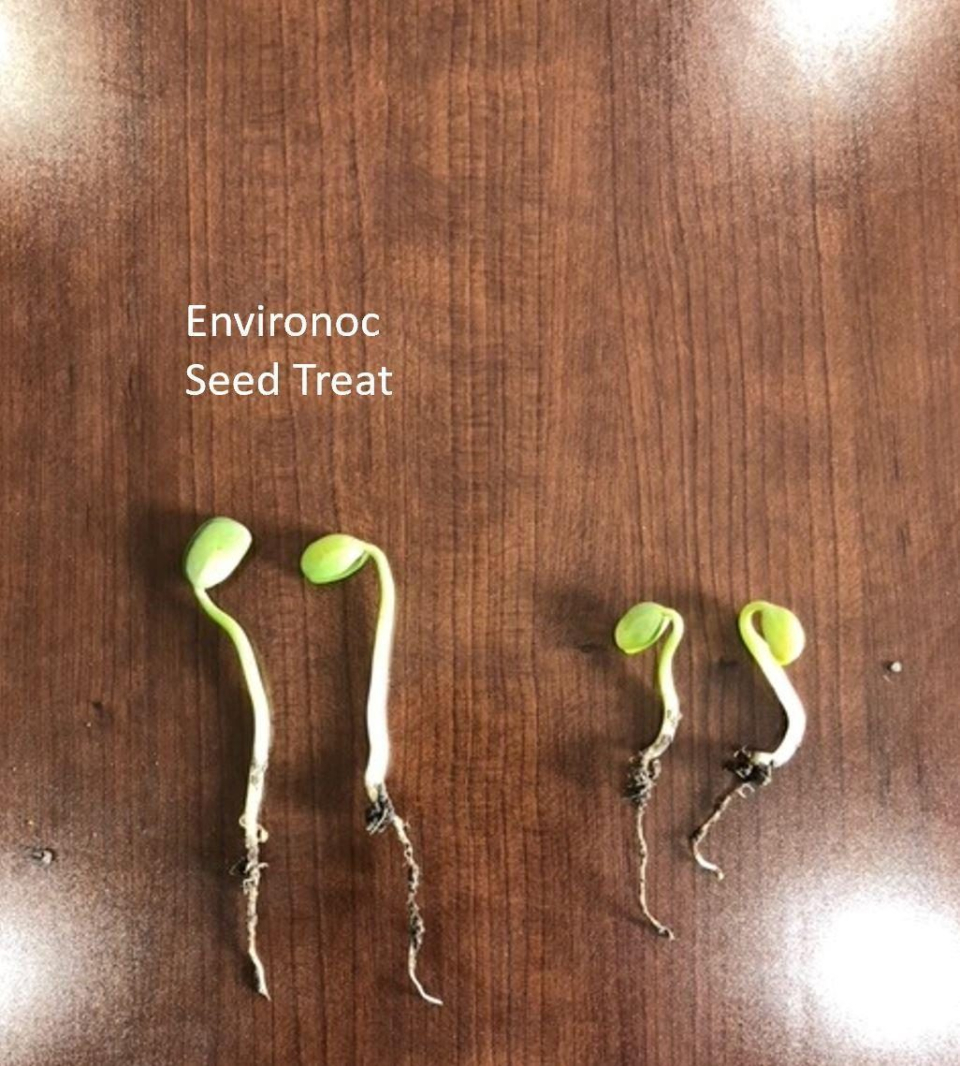 Seed Treatment Mack inc 2021